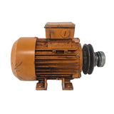 Motor met poelie t.b.v Javo voor type: Standard, SE